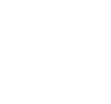 Language